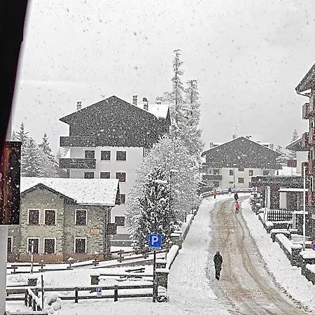 L' Aiglon